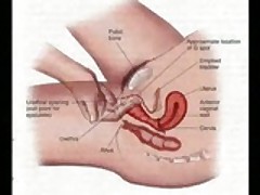 free porn tube search